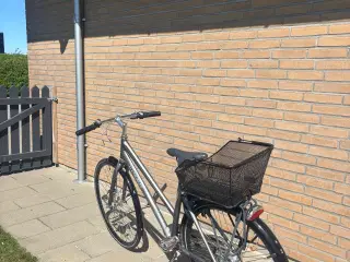Cykel dame