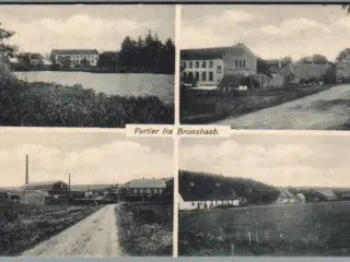 Partier fra Brunshaab - Postkort - Ubrugt