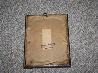 Billede med herbarium edelweiss 16 cm x 12,5 cm