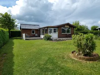 Kolonihave I Struer 