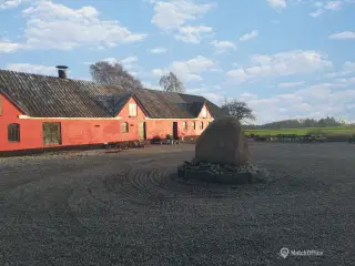 Mødelokale i det fri. 