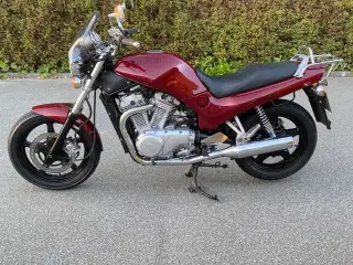 Suzuki Vx 800