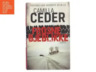 Frosne øjeblikke af Camilla Ceder (Bog)