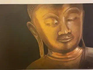 Buddha Paint 