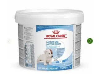 Royal Canin mælkeerstatning. 2 kg