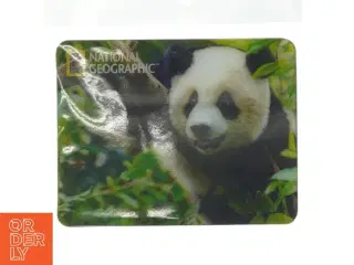 National Geographic Pandamagnet (str. 7x9 cm) fra National Geographic