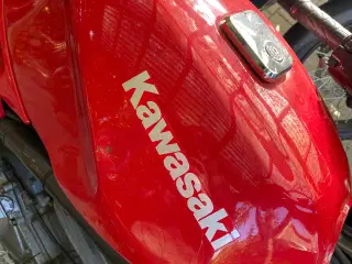 Kawasaki ER 500