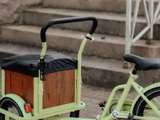 Børne ladcykel 