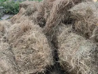 Hø