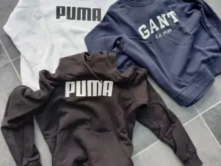 Sweatshirts GANT og PUMA