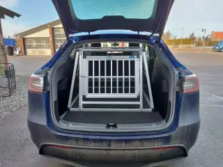 Hundebur Tesla
