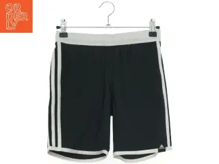 Adidas shorts (str. 140 cm)