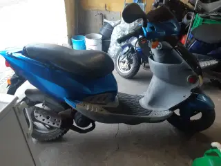 PGO T-rex 45