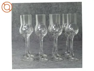 Glas (str. 17 x 5 cm)
