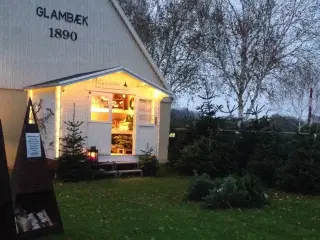 Juletræ, Fæld selv