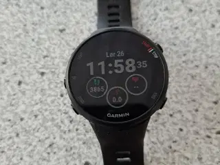 Garmin forerunner 45s 