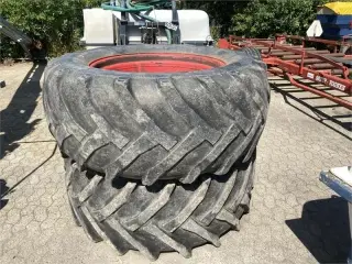 Bargam 3000 FOX 24 M