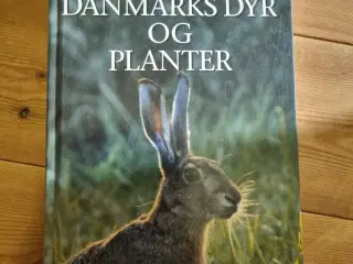 Danmarks dyr og planter