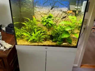 Juwel akvarie