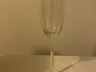 Champagneglas - Holmegaard Cocoon/Future 12 stk.