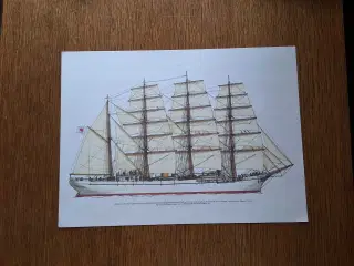 Sejlskib. NIPPON MARU Japan.