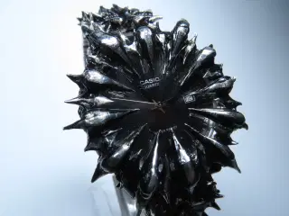 Unikt spiked Casio