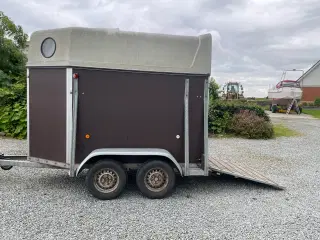 Single hestetrailer