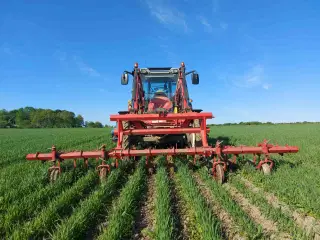 Radrenser - Frontmonteret - Eurobeslag