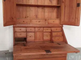 Smukt fyrretræs chatol