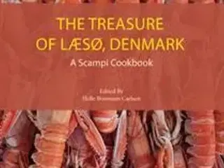 The Treasure of LÆSØ, DENMARK