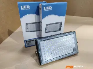 2 STK. 100 watt
