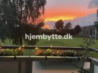 Hjembytte - Malurthaven