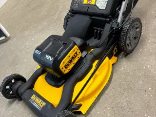 Dewalt Plæneklipper 