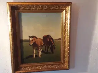 Meget flot billede af græssende heste