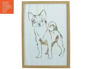Chihuahua frimærke portræt i Træbilledramme med glas (str. 32 x 23 x 1,5 cm)