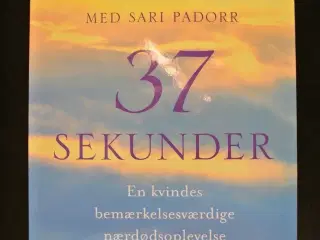 37 sekunder - en kvindes bemærkelsesværdige nærdød