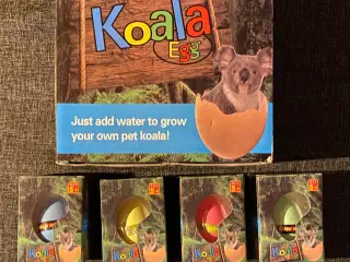 Koala Grow egg 