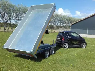 EDUARD  trailer 3116-2000.66 EL Tip M. Ramper