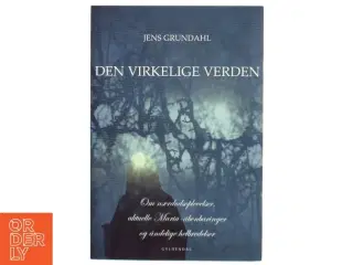 Den virkelige verden : om nærdødsoplevelser, aktuelle Maria-åbenbaringer og åndelige helbredelser af Jens Grundahl (Bog)