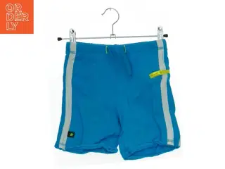 Shorts fra Molo (str. 98 cm)