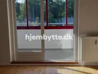 Hjembytte - Sennepshaven