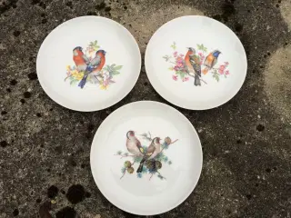 Fugle Platter