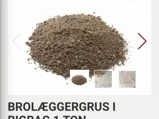 Brolæggergrus