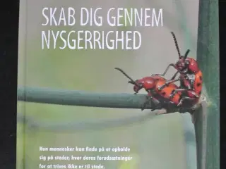 skab dig gennem nysgerrighed, af william fibæk mik
