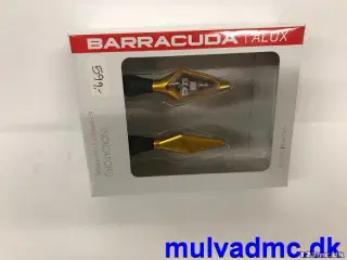 Barracuda blink guldfarvede