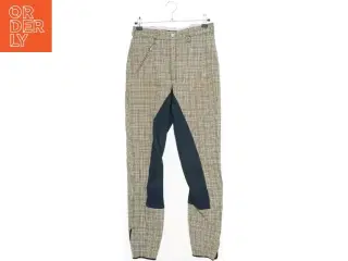 Pikeur Ridebukser (str. 176) med tern og indlæg