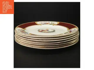 7  Myott Staffordshire chelsea bird tallerkner (str. Ø. 27 cm)