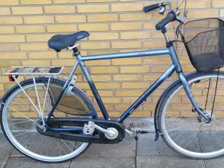 Batavus stacatto