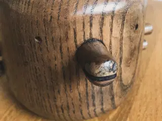 Normann fugl