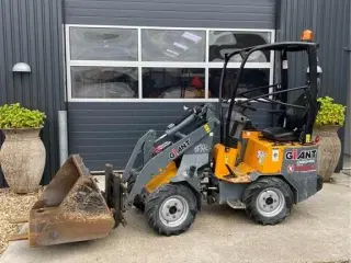 Giant D204SW